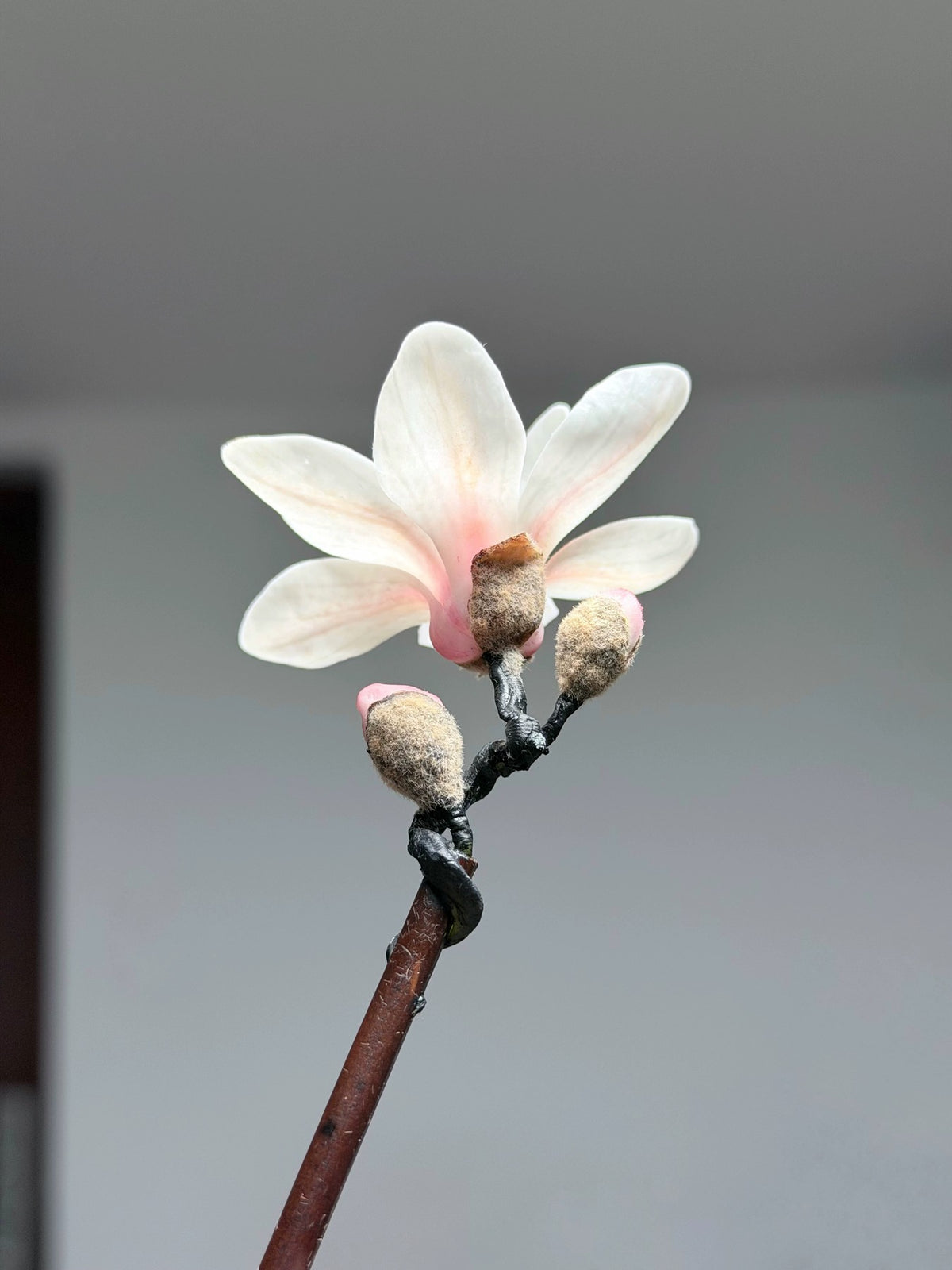 Magnolia Shadow Cold Porcelain Branch