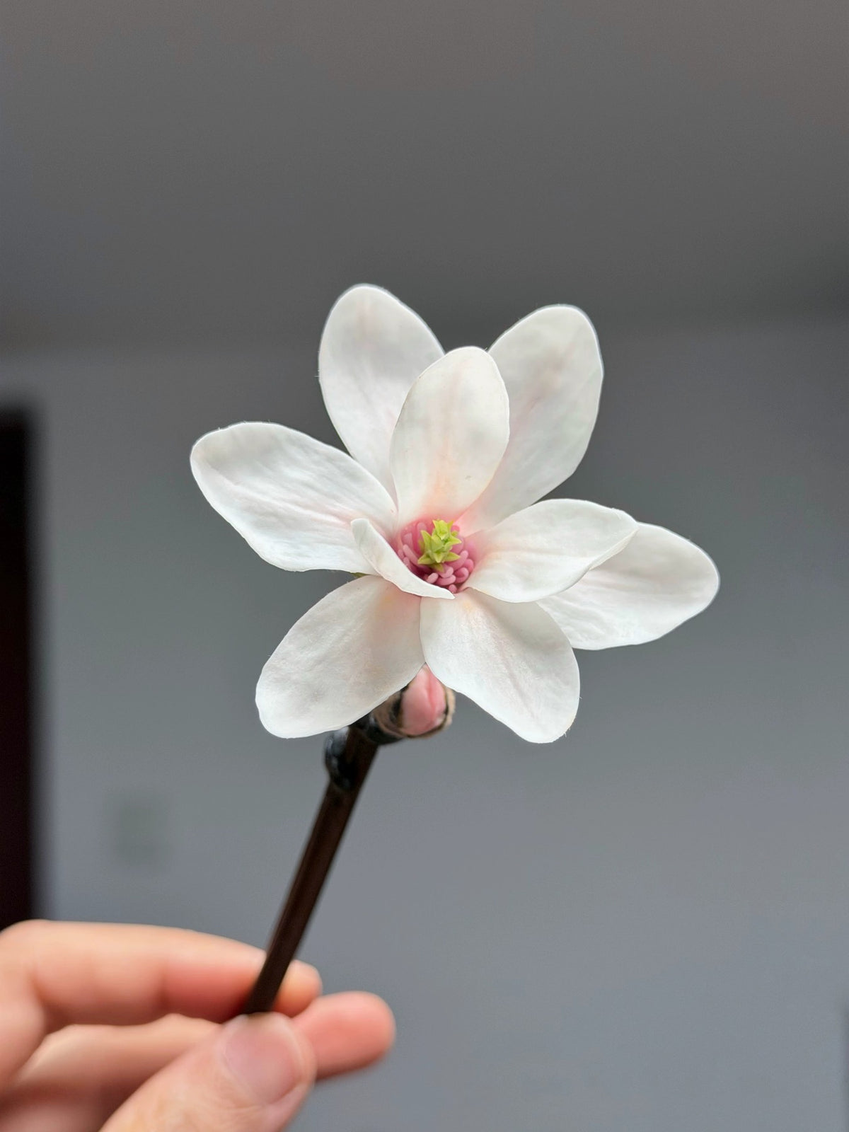 Magnolia Shadow Cold Porcelain Branch