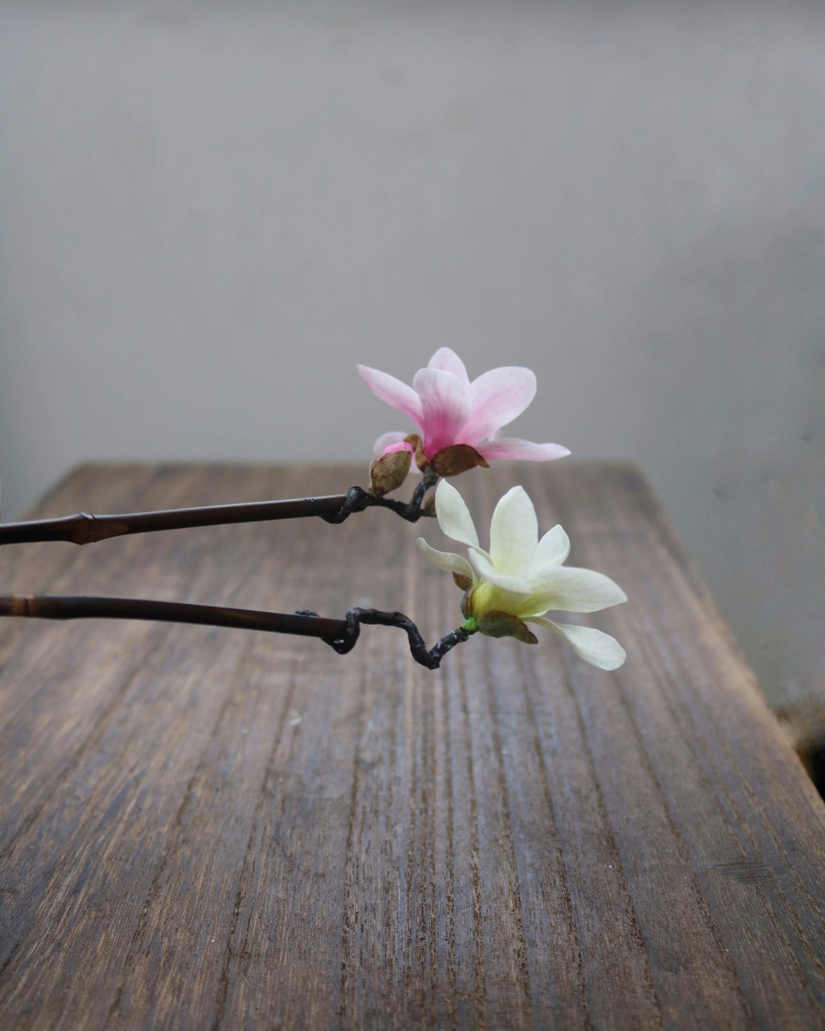 Magnolia Shadow Cold Porcelain Branch