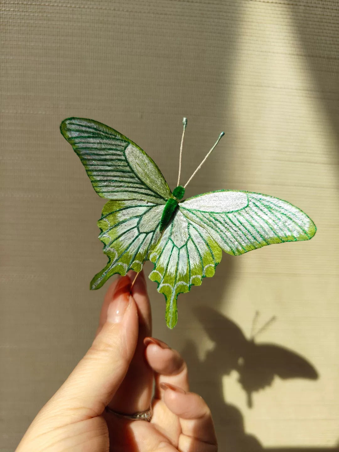White-Green Swallowtail Trembling Silk Butterfly